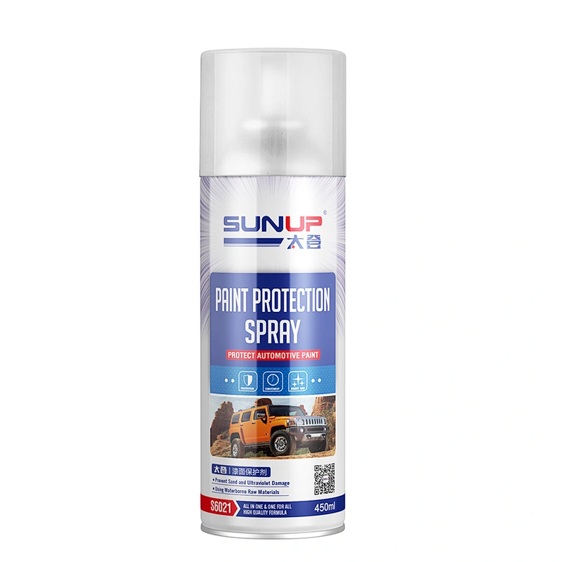 Paint Protection Spray